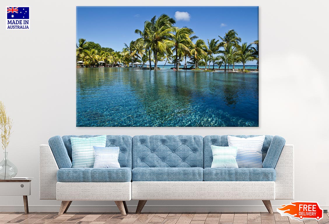 Palm Tree Near Infinity Pool & Sea Photograph Print 100% Australian Made