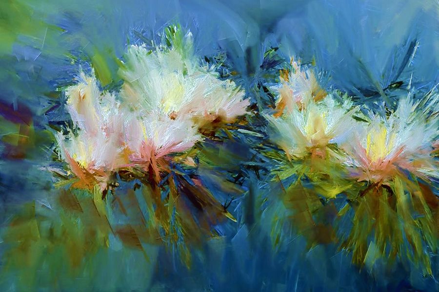 White Lotus Flowers Abstract Design Print 100% Australian Made