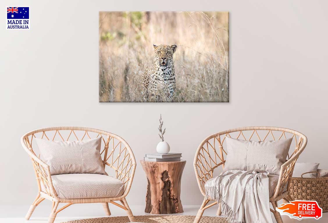 Leopard Blending in Kruger Park View Photograph Print 100% Australian Made