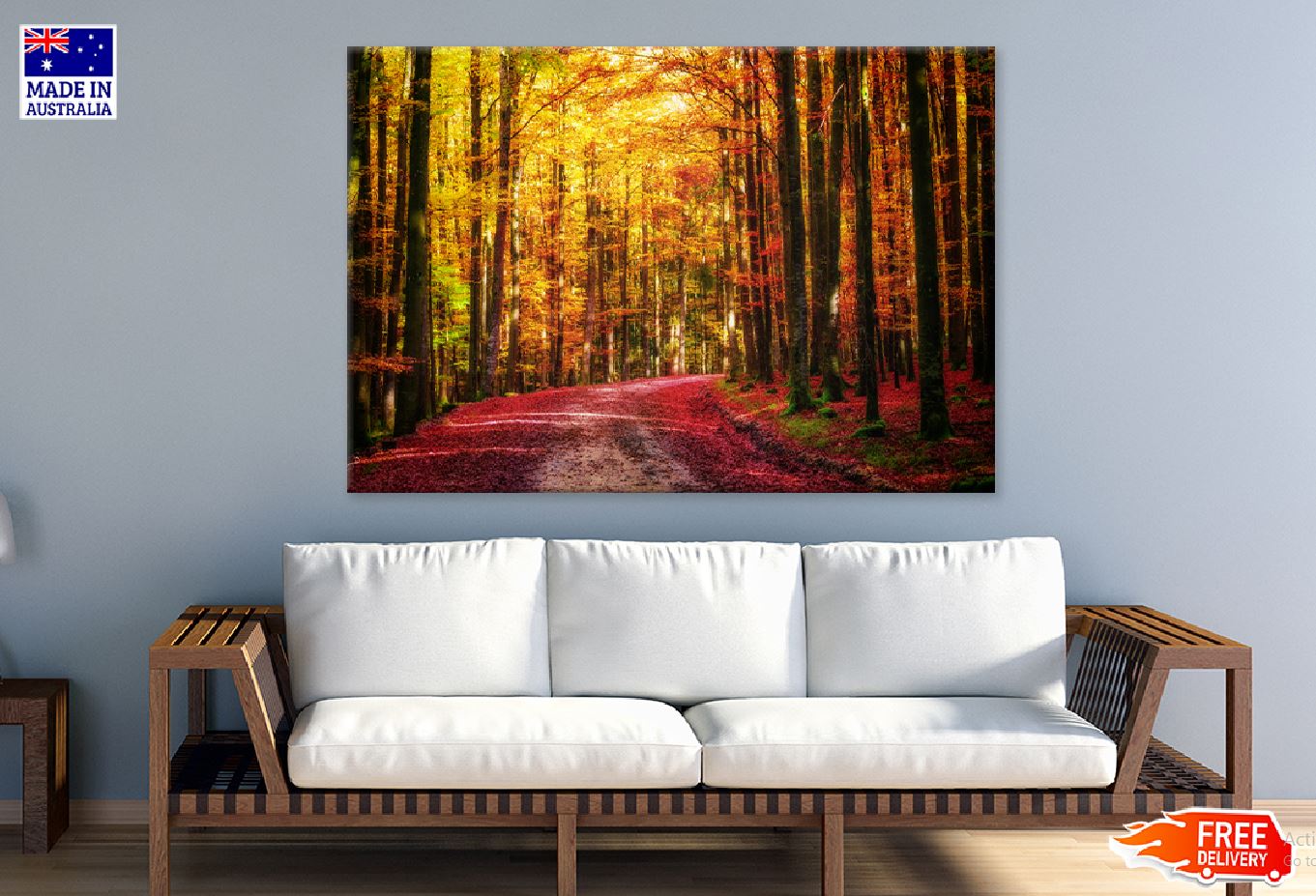 Path in Autumn Forest View Photograph Print 100% Australian Made