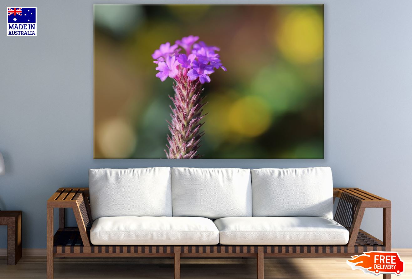 Purple Lance Verbena Flowers Photograph Print 100% Australian Made