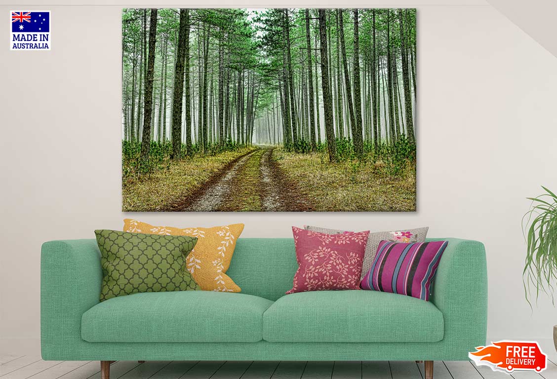 Footpath in Forest Photograph Print 100% Australian Made