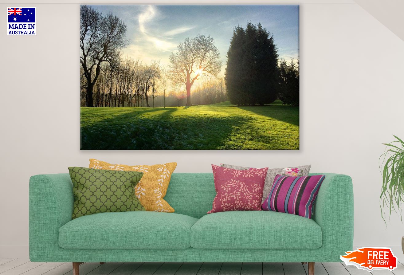 Dead Trees on Green Grass Sunset Photograph Print 100% Australian Made