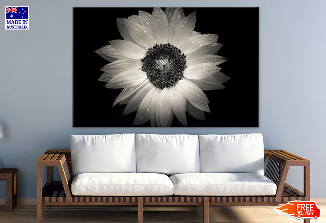 Sun Flower B&W Closeup Photograph Print 100% Australian Made