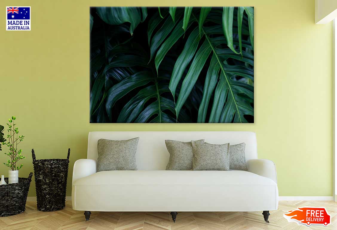 Tropical Dark Leaves Photograph Print 100% Australian Made