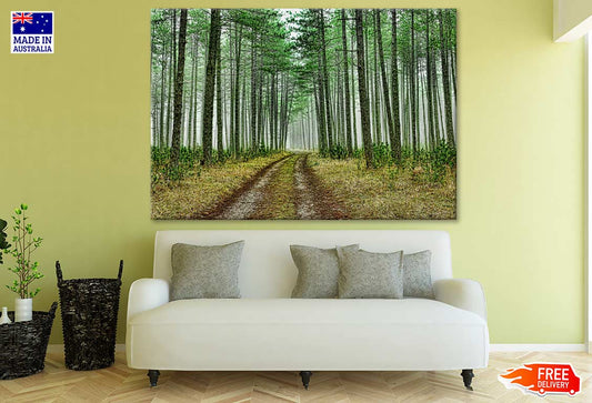 Footpath in Forest Photograph Print 100% Australian Made