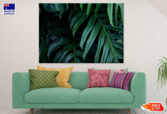 Tropical Dark Leaves Photograph Print 100% Australian Made