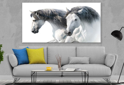 White Horse Couple Portrait Print 100% Australian Made