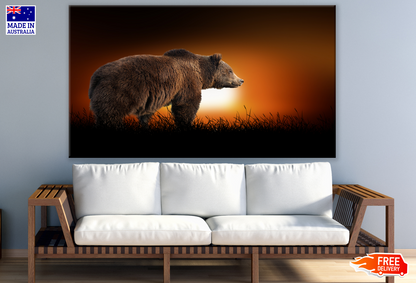 Bear Sunset Background Print 100% Australian Made