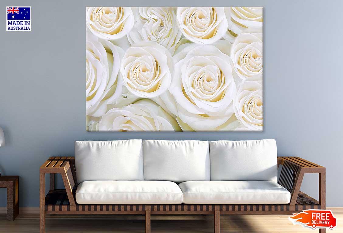 Pure White Roses View Photograph Print 100% Australian Made