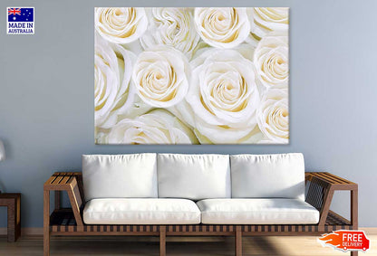 Pure White Roses View Photograph Print 100% Australian Made