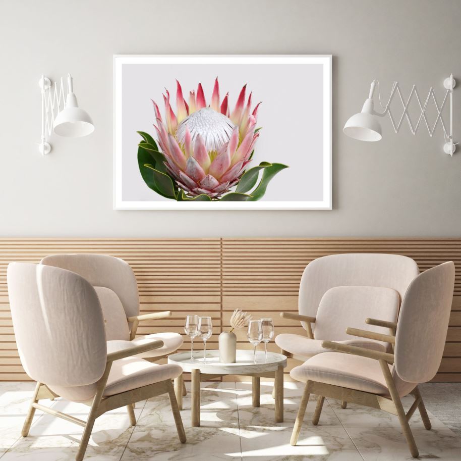 Flower Closeup Photograph Home Decor Premium Quality Poster Print Choose Your Sizes