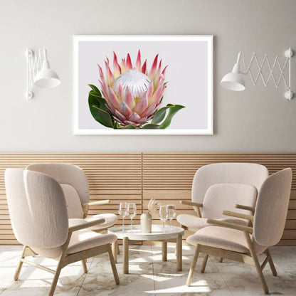 Flower Closeup Photograph Home Decor Premium Quality Poster Print Choose Your Sizes
