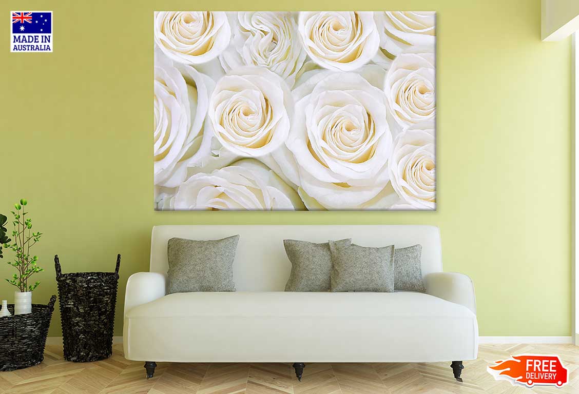 Pure White Roses View Photograph Print 100% Australian Made