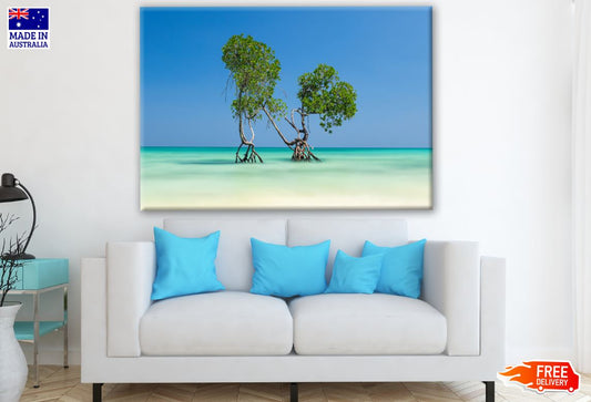Tree in Beach Photograph Print 100% Australian Made