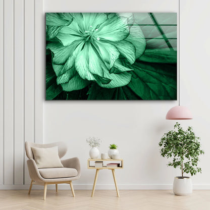 Green Flower Closeup Photograph Acrylic Glass Print Tempered Glass Wall Art 100% Made in Australia Ready to Hang