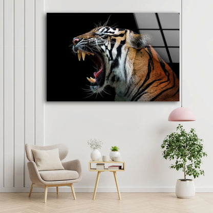 Tiger Face Closeup Photograph Acrylic Glass Print Tempered Glass Wall Art 100% Made in Australia Ready to Hang