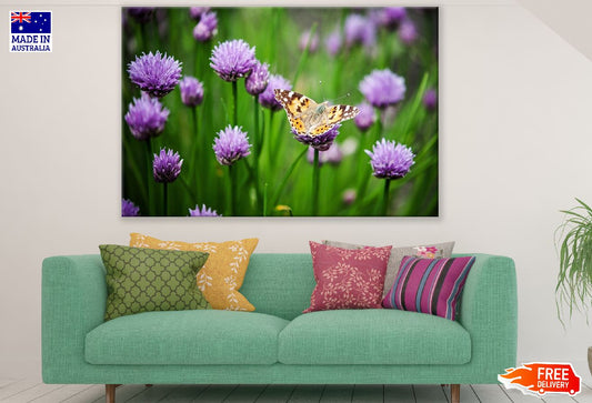 Butterfly on Alium Schoenoprasum Flowers Field Photograph Print 100% Australian Made