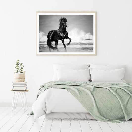 Black Horse at Beach Photograph Home Decor Premium Quality Poster Print Choose Your Sizes