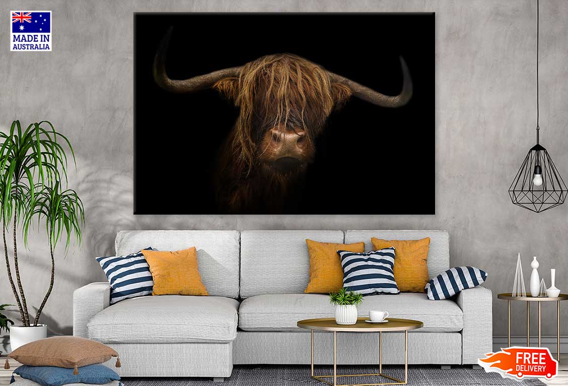 Bison on Dark Closeup Photograph Print 100% Australian Made