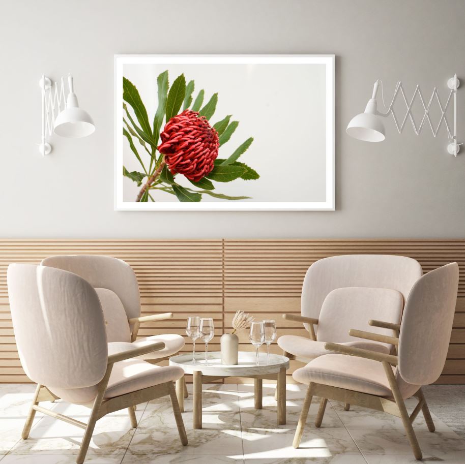 Flower Closeup Photograph Home Decor Premium Quality Poster Print Choose Your Sizes