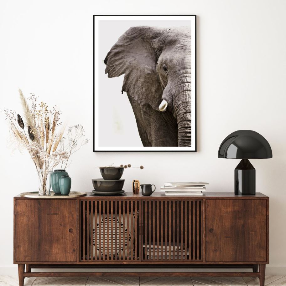 Elephant Portrait Photograph Home Decor Premium Quality Poster Print Choose Your Sizes