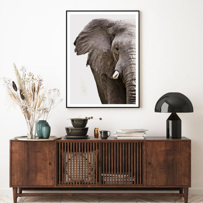 Elephant Portrait Photograph Home Decor Premium Quality Poster Print Choose Your Sizes