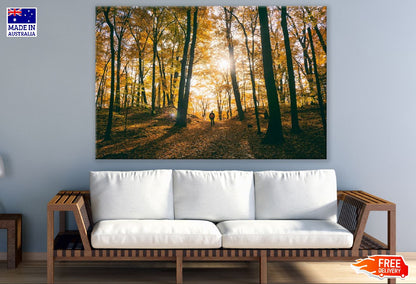 Large Autumn Trees Forest Photograph Print 100% Australian Made