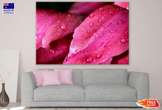 Pink Flower Petals with Water Drops Photograph Print 100% Australian Made
