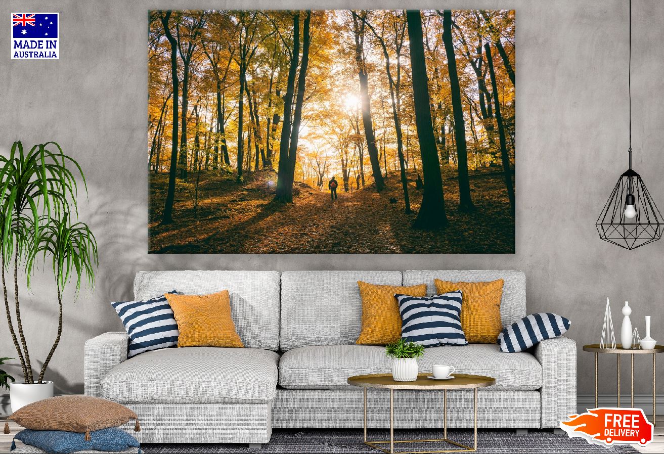 Large Autumn Trees Forest Photograph Print 100% Australian Made