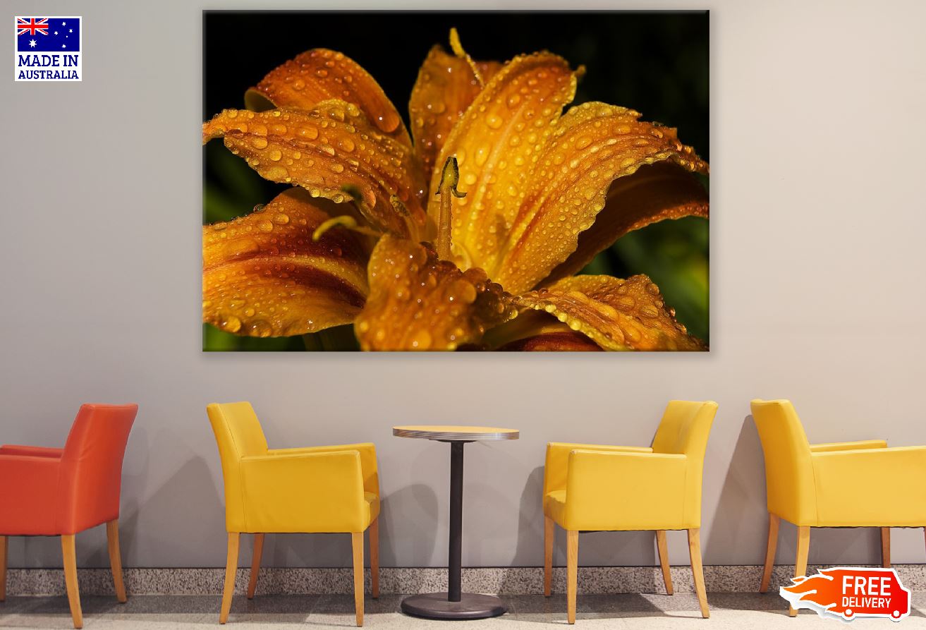 Orange Lily Flower Water Droplet Photograph Print 100% Australian Made