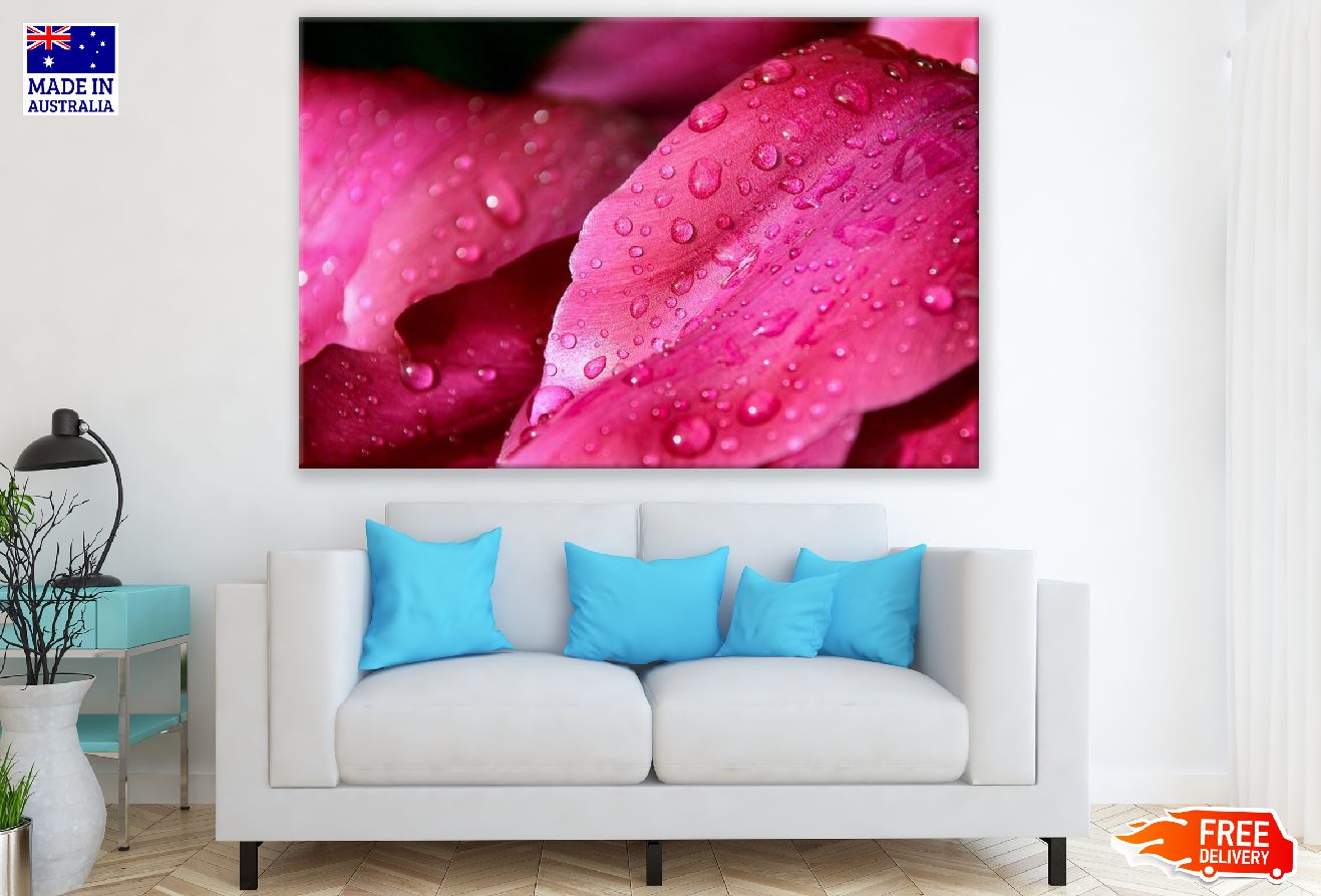 Pink Flower Petals with Water Drops Photograph Print 100% Australian Made