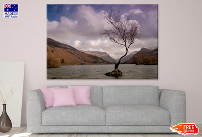 Dry Tree in Lake Photograph Print 100% Australian Made