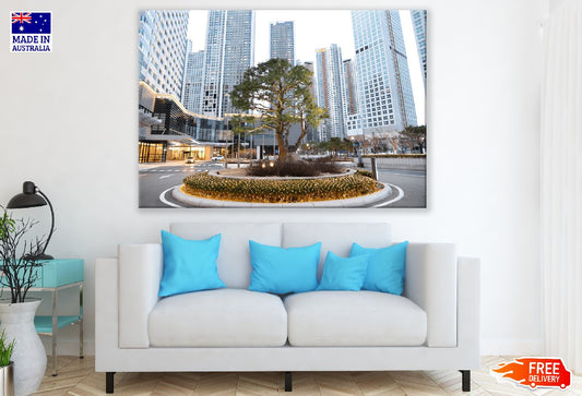 Tree on City Photograph Print 100% Australian Made