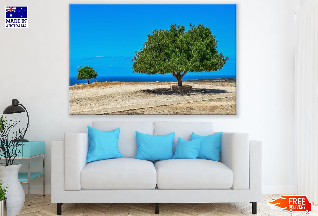 Shade Trees & Sea View Photograph Print 100% Australian Made