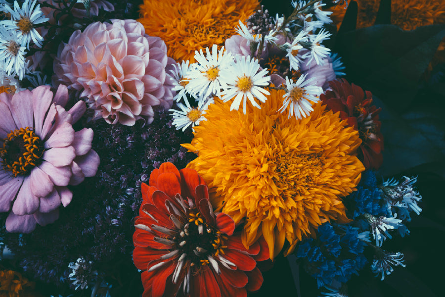 Autumn Flowers Bouquet Photograph Print 100% Australian Made