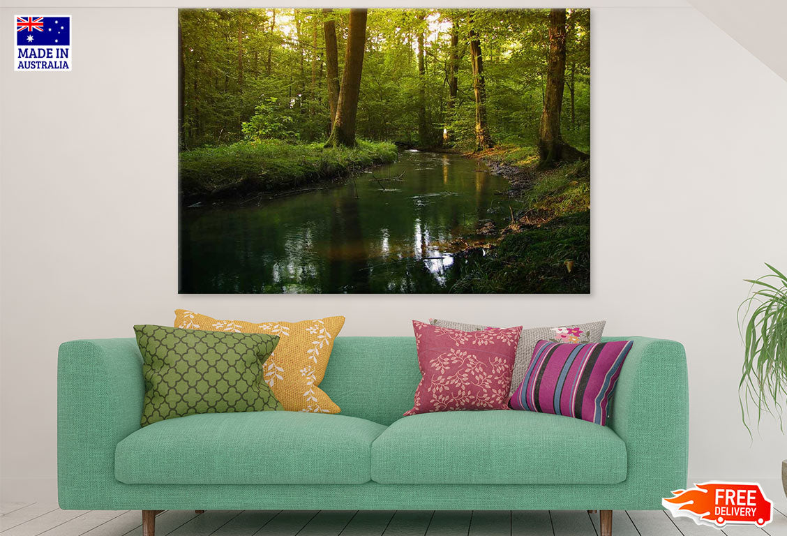 River in Forest Photograph Print 100% Australian Made