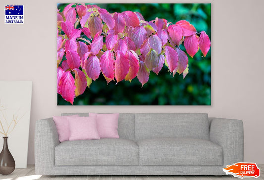 Pink Autumn Tree Leaves Photograph Print 100% Australian Made