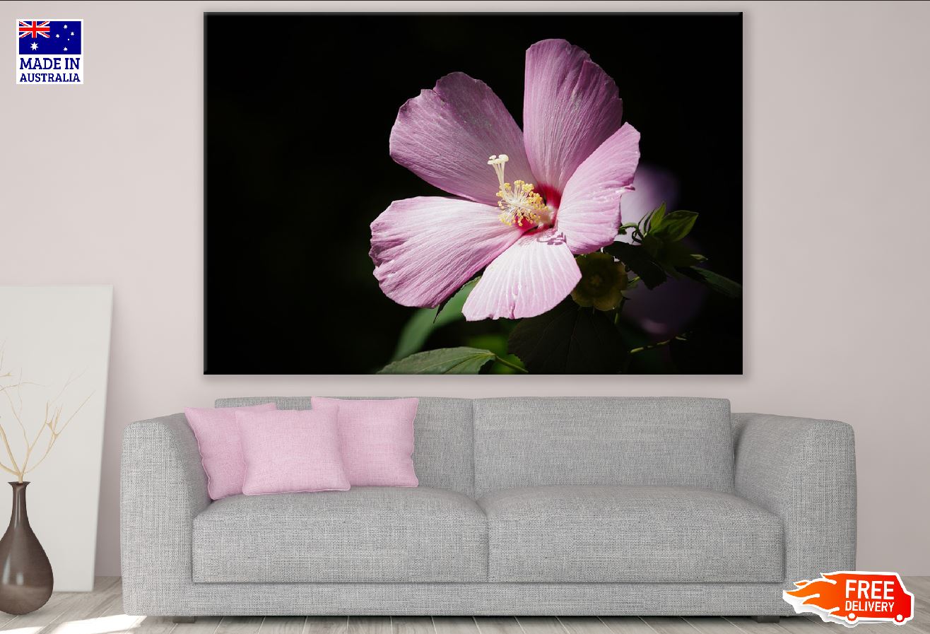 Pink Spring Flower Closeup Photograph Print 100% Australian Made