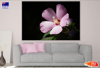 Pink Spring Flower Closeup Photograph Print 100% Australian Made