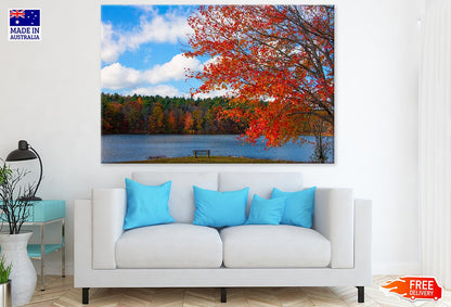 Autumn Tree & Bench Near Lake Scenery Photograph Print 100% Australian Made