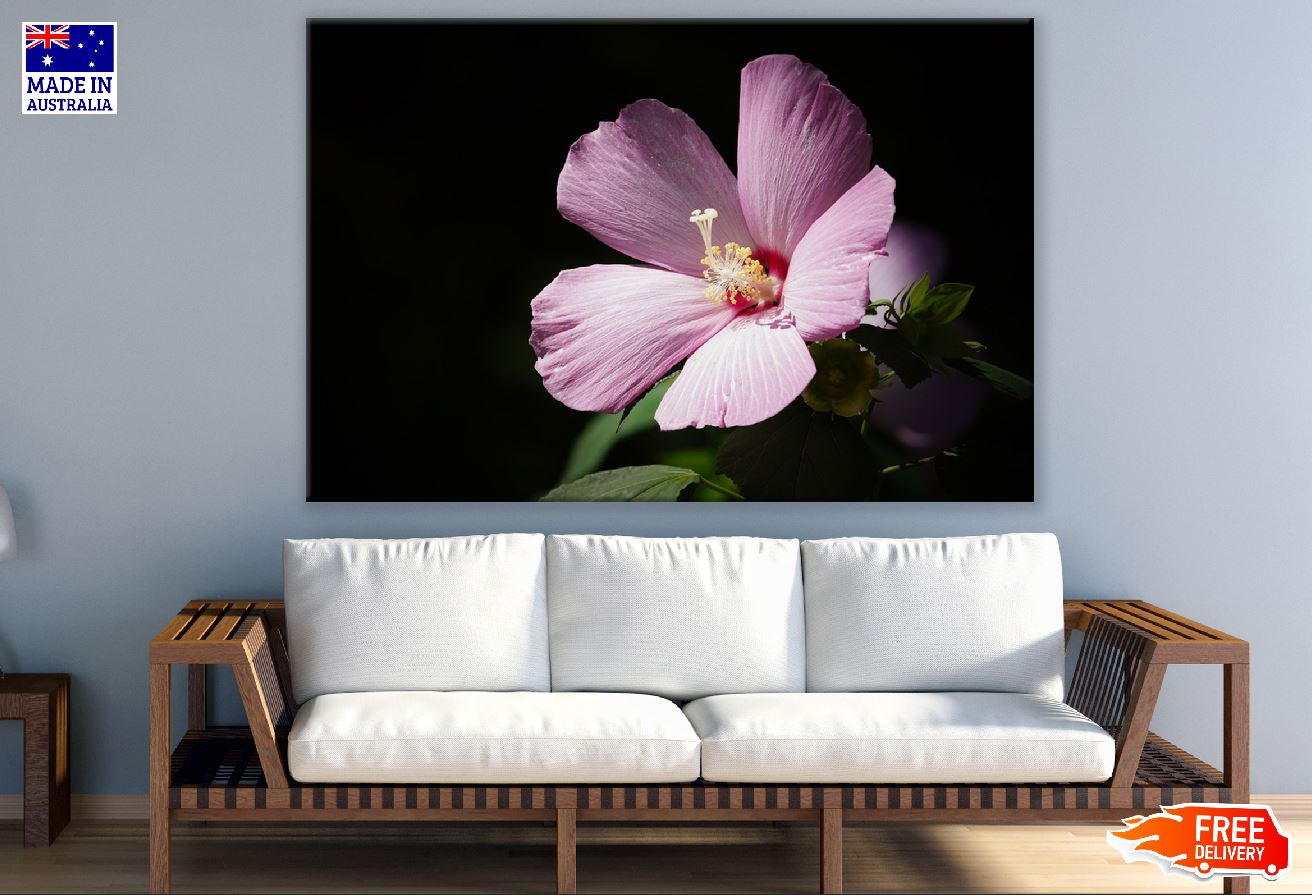 Pink Spring Flower Closeup Photograph Print 100% Australian Made