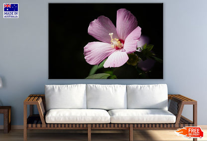 Pink Spring Flower Closeup Photograph Print 100% Australian Made