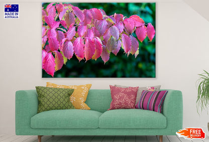 Pink Autumn Tree Leaves Photograph Print 100% Australian Made