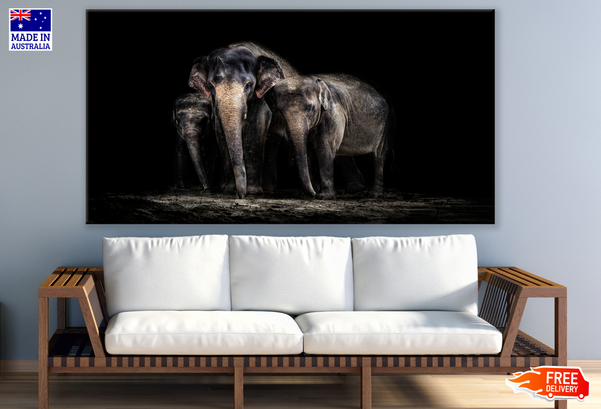 Elephant Family Hugging Photograph Print 100% Australian Made