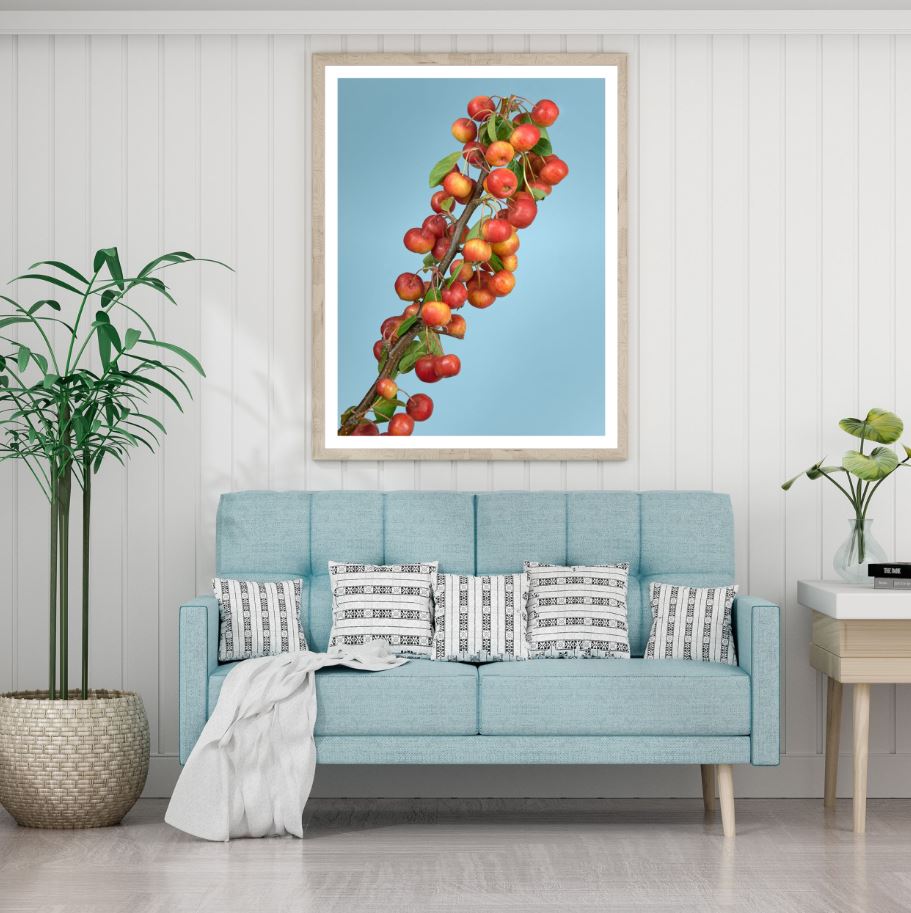Coffee Tree Closeup Photograph Home Decor Premium Quality Poster Print Choose Your Sizes