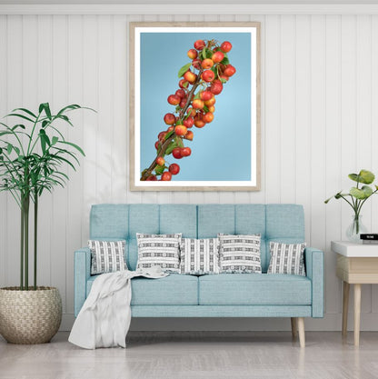 Coffee Tree Closeup Photograph Home Decor Premium Quality Poster Print Choose Your Sizes