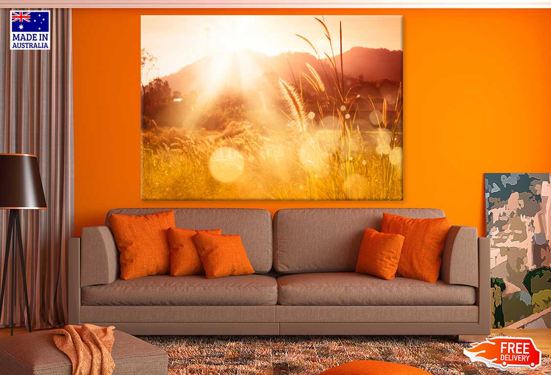Summer Wheat Field Photograph Print 100% Australian Made