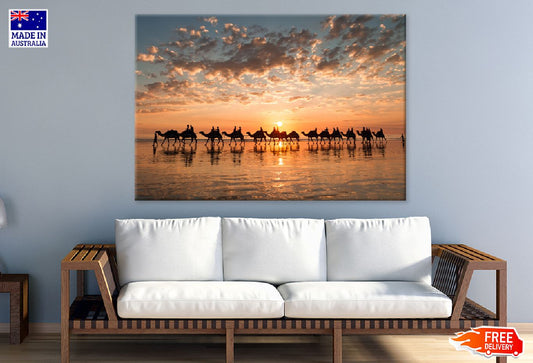 Camel on Sea Sunset Photograph Print 100% Australian Made