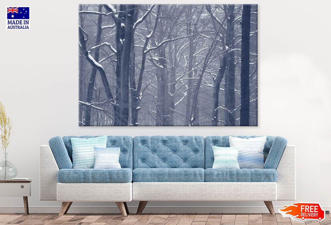 Snow Covered Misty Forest Photograph Print 100% Australian Made